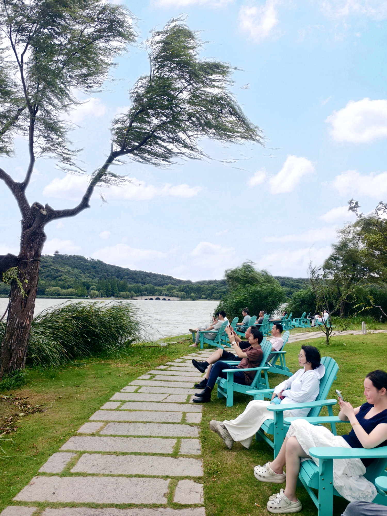 临湖赏景